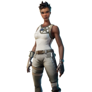 Recon Expert