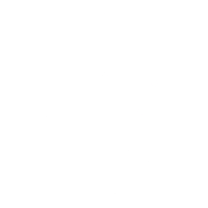 Sonic Surfer