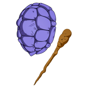 Kamesennin's Staff