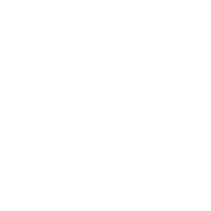 Frozone's Stunt