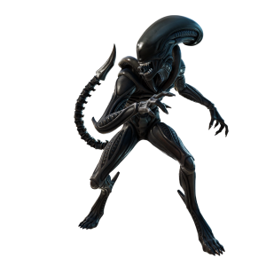 Xenomorph