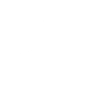 Mighty Ant
