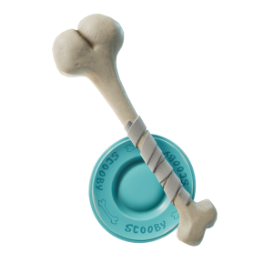Bone 'n Bowl