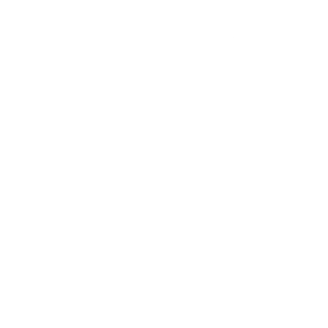 Gunslinger Smokeshow