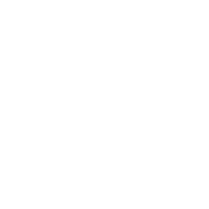 Surf's Up!
