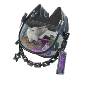 Helsie's Handbag