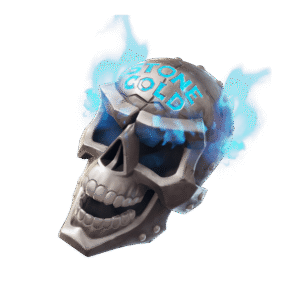 Stone Cold Skull