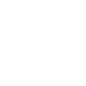 Stone Cold Celebration