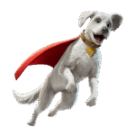 Krypto