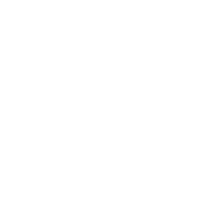 Fast Slow Disco