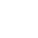 Sonic Surfer