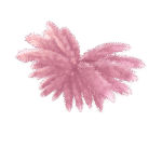 Madison's Angel Wings - Image 2