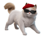 Fancy Ragdoll - Image 3