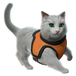 The Best Cat - Image 2