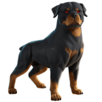 EsDeeKid's Canine - Image 2