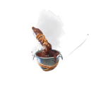 Stir-Baby