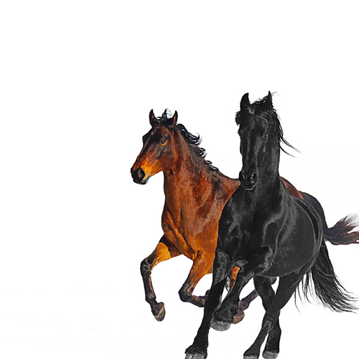 6bebd5e1-ae48-4455-843f-3b4e4fb93c1f.jpg Old Town Road (Remix) - Image 1