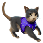 The Best Cat - Image 3
