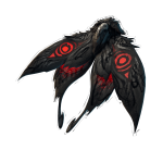 Moth Eye Wings
