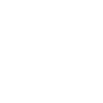 Dancin' Domino