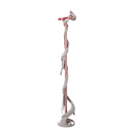 Mother's Mic - Image 2