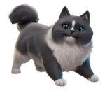 Fancy Ragdoll - Image 4