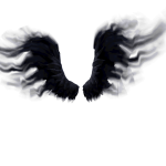 Shadow Wings