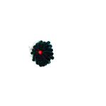 Dark Grasp