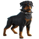 EsDeeKid's Canine