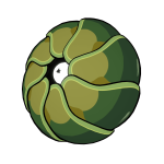 Pillbug Jerry