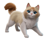 Fancy Ragdoll - Image 5
